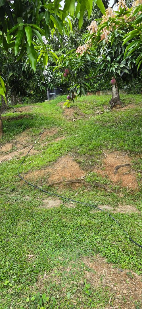 Finca en  Venta en Calucata, La mesa - Miniatura 13