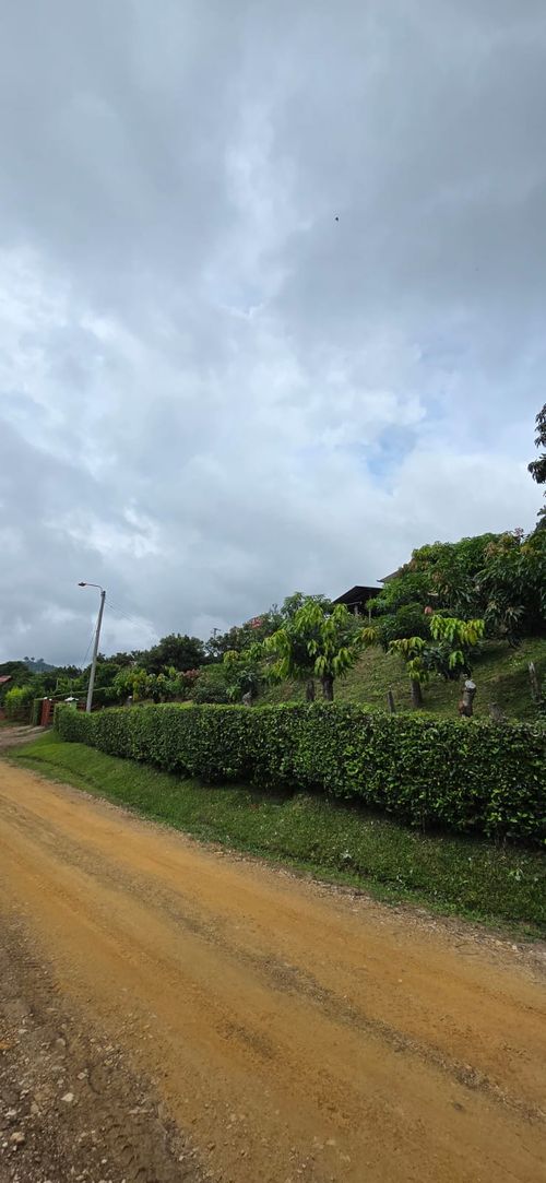 Finca en  Venta en Calucata, La mesa - Miniatura 15