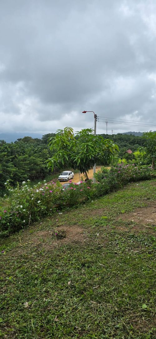 Finca en  Venta en Calucata, La mesa - Miniatura 16