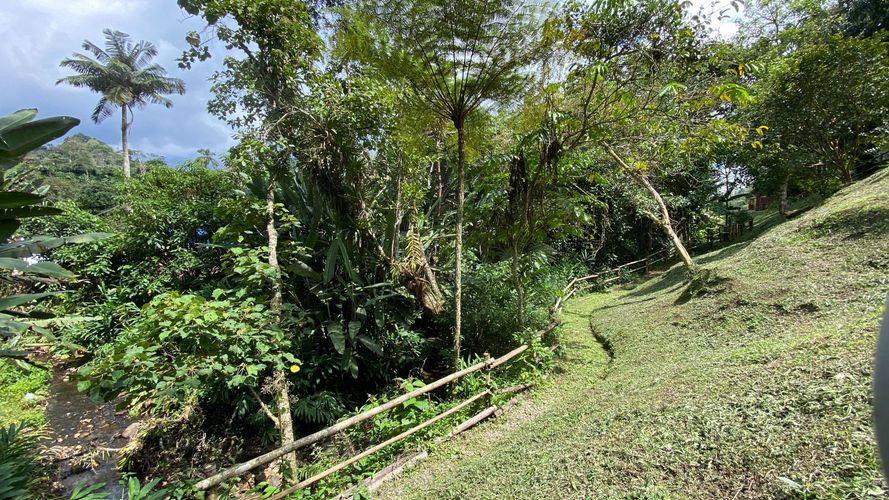 Finca en  Arriendo en Salento - Miniatura 10