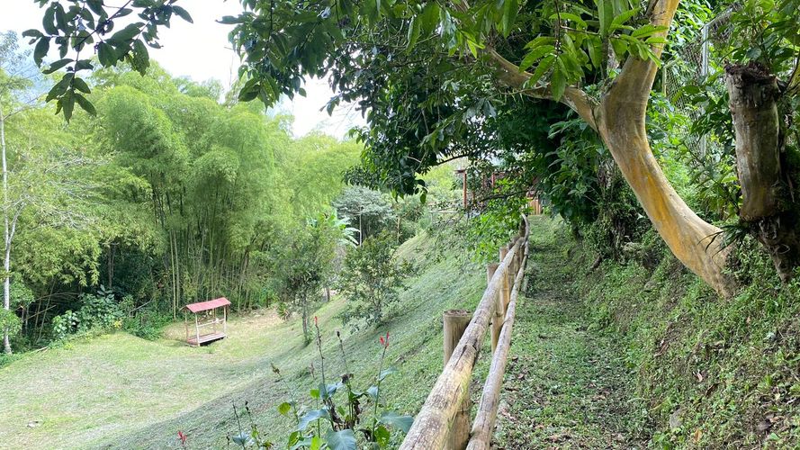 Finca en  Arriendo en Salento - Miniatura 11