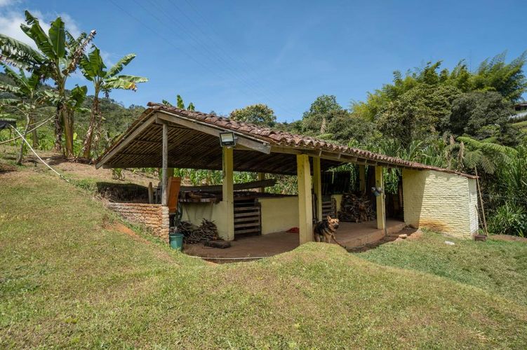 Finca en  Arriendo en Dagua - Miniatura 5