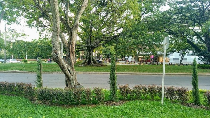 Local en arriendo en Cañaveralejo, Cali - Miniatura 6