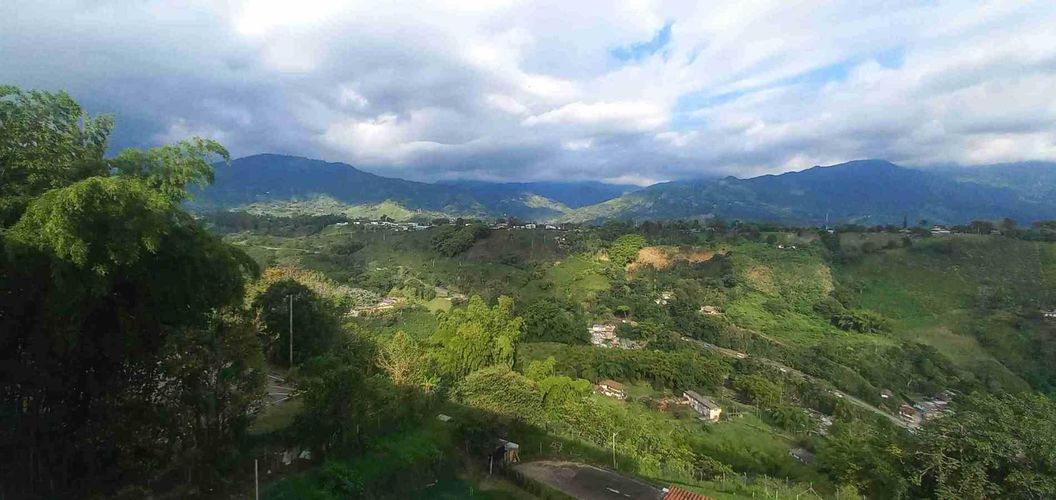 Local en  Venta - Miniatura 3