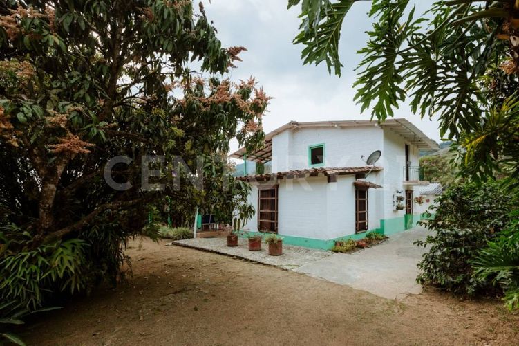 Finca en venta en Fredonia - Miniatura 3