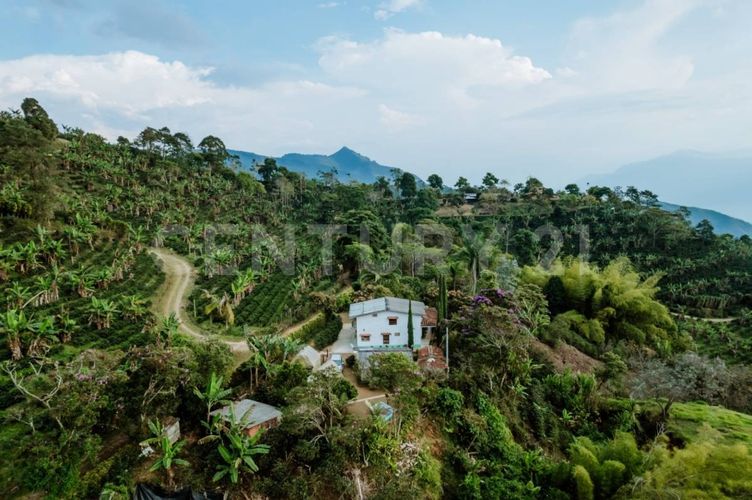 Finca en venta en Fredonia - Miniatura 17