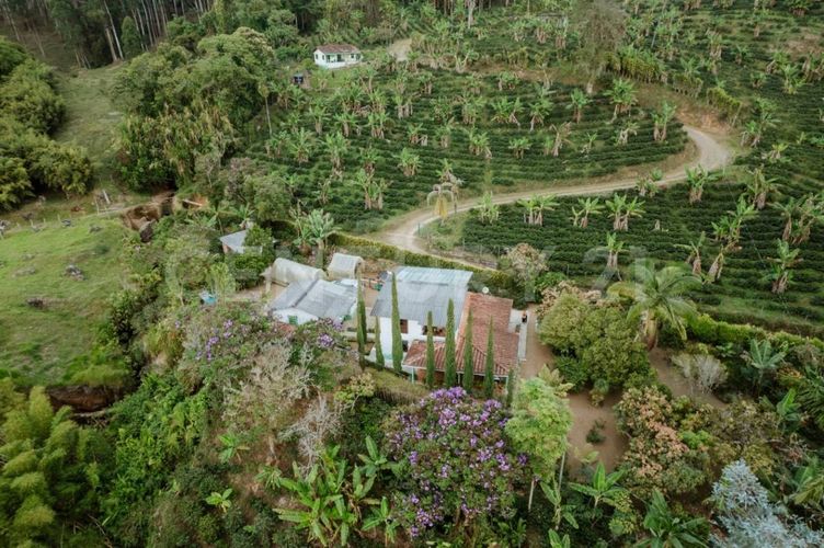 Finca en venta en Fredonia - Miniatura 18