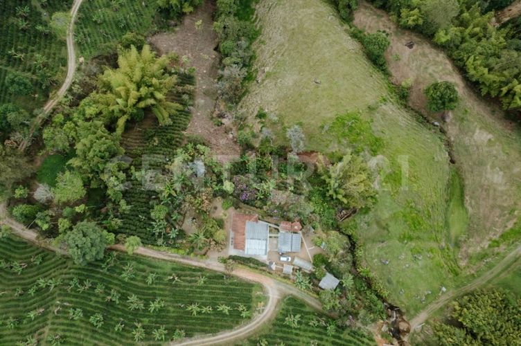 Finca en venta en Fredonia - Miniatura 19