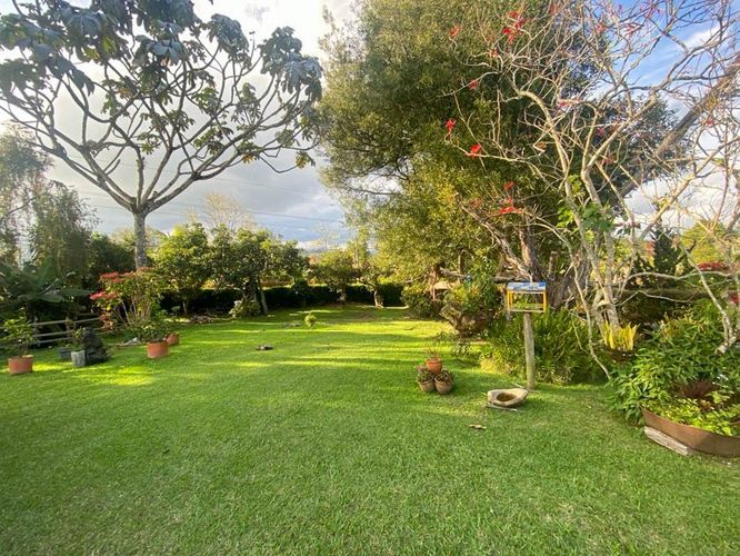 Finca en  Arriendo en Pontezuela, Rionegro - Miniatura 15