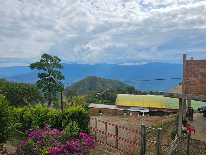 Finca en  Venta en Murrapal, Fredonia - Miniatura 25