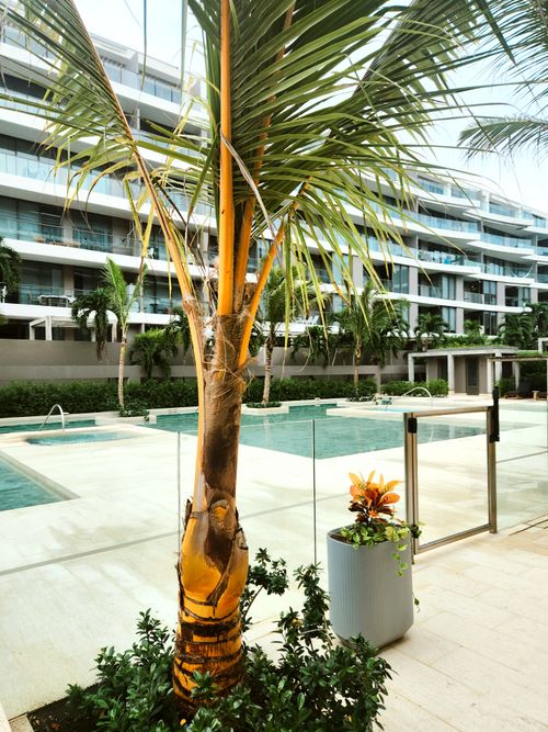 Apartamento en  Arriendo en Cartagena - Miniatura 23
