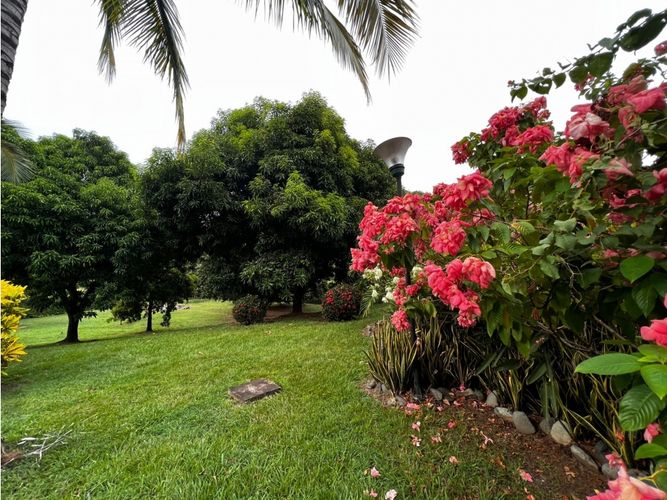Finca en  Venta en Cordoba, Sopetran - Miniatura 12