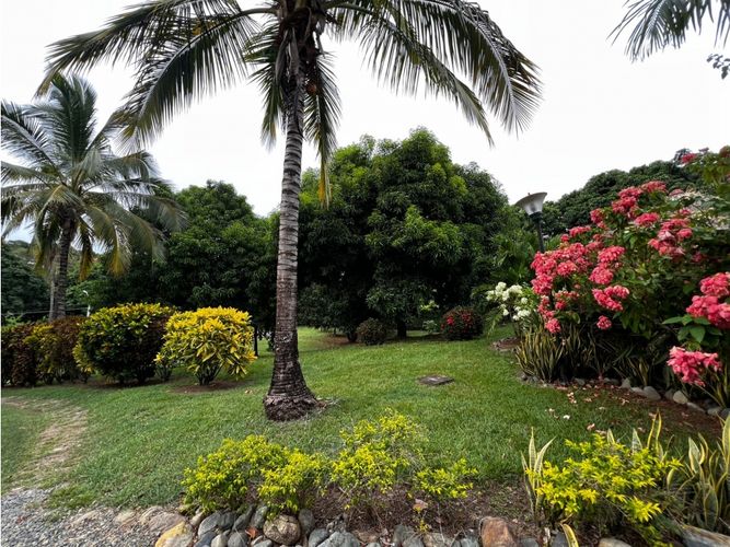 Finca en  Venta en Cordoba, Sopetran - Miniatura 13