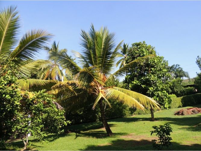 Finca en  Venta en Cordoba, Sopetran - Miniatura 20