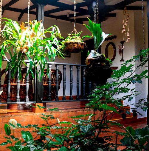Finca en  Arriendo en La cumbre - Miniatura 20
