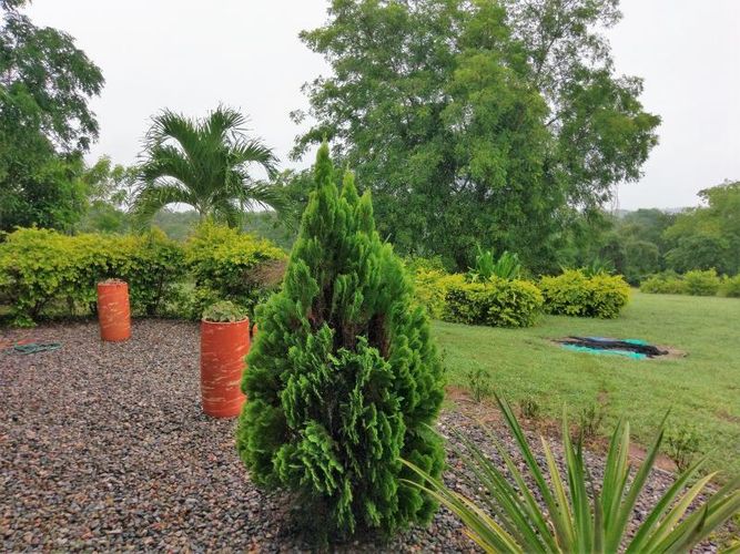 Finca en  Venta en Agua de dios - Miniatura 6