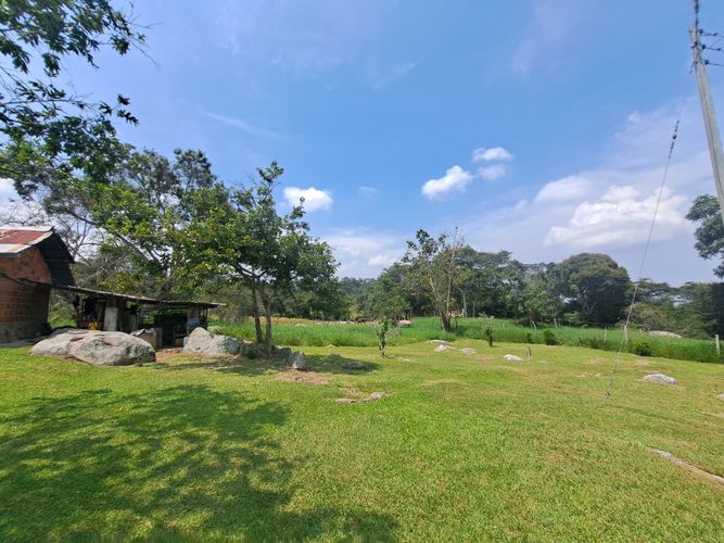 Finca en  Venta en Palacios, Fusagasugá - Miniatura 14