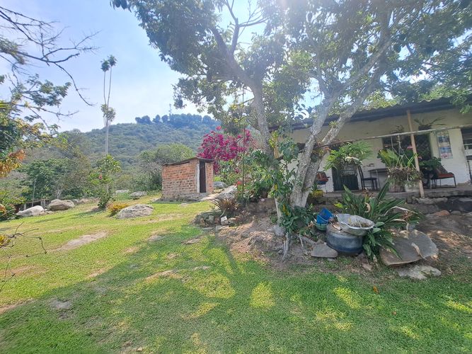Finca en  Venta en Palacios, Fusagasugá - Miniatura 17