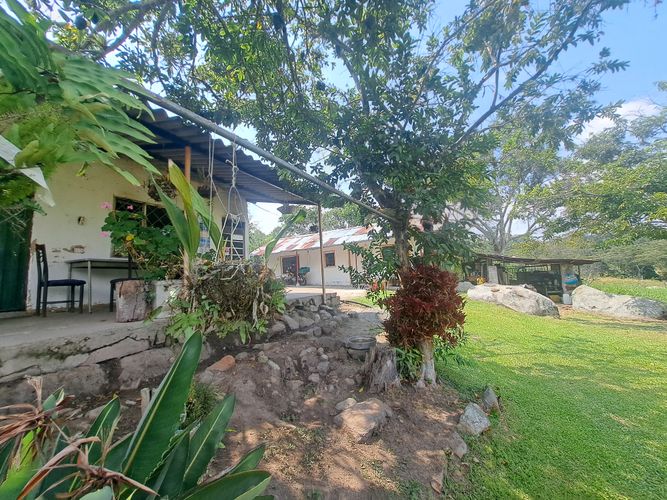Finca en  Venta en Palacios, Fusagasugá - Miniatura 18