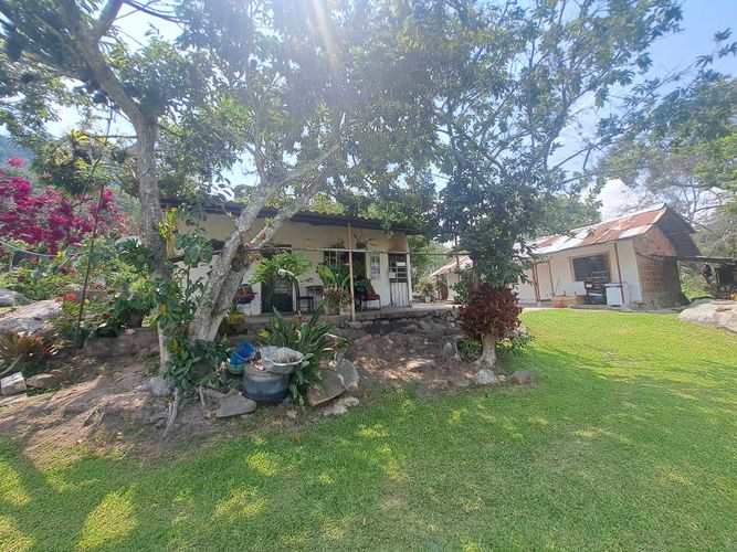 Finca en  Venta en Palacios, Fusagasugá - Miniatura 20