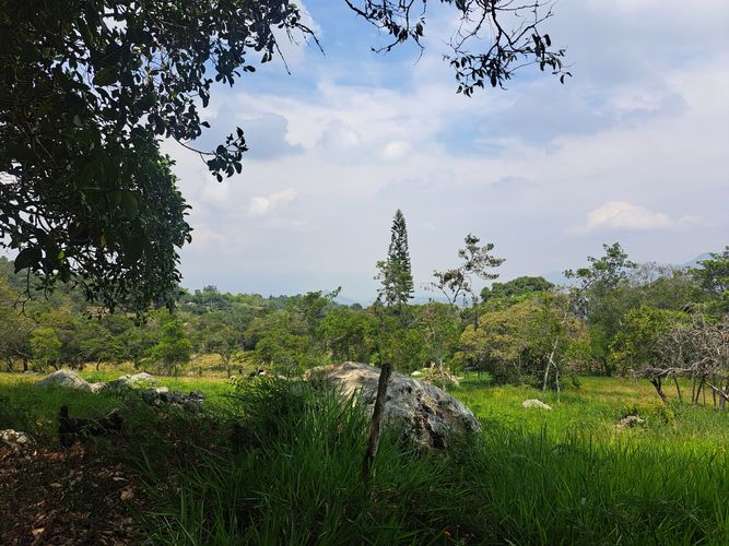 Finca en  Venta en Palacios, Fusagasugá - Miniatura 21