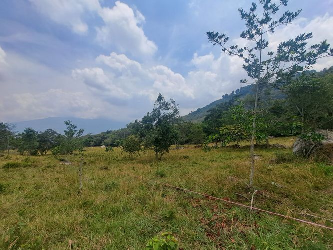 Finca en  Venta en Palacios, Fusagasugá - Miniatura 22