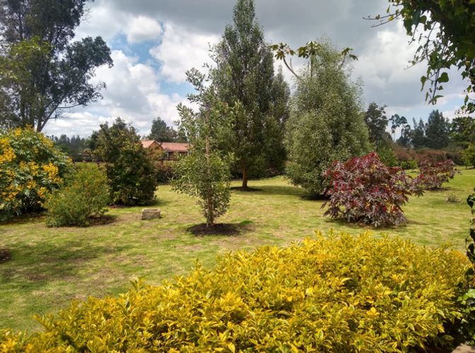 Finca en  Venta en Ub el trebol, Mosquera - Miniatura 18