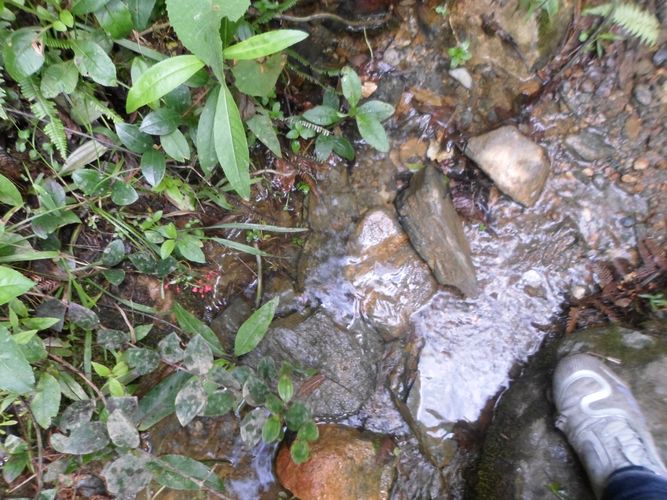 Finca en  Venta en El carmen de viboral - Imagen 1