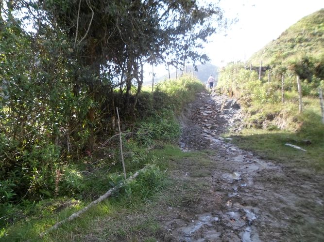 Finca en  Venta en El carmen de viboral - Miniatura 3