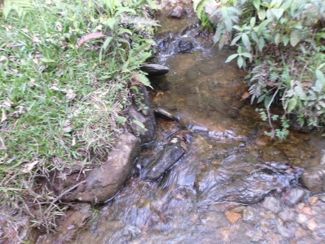 Finca en  Venta en El carmen de viboral - Miniatura 4
