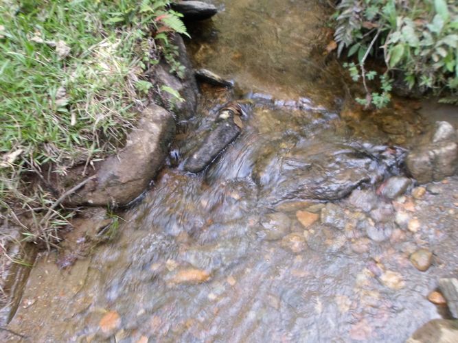 Finca en  Venta en El carmen de viboral - Miniatura 5