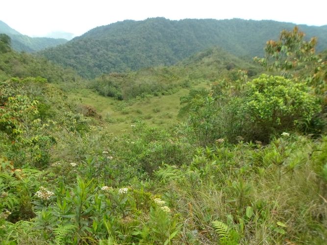 Finca en  Venta en El carmen de viboral - Miniatura 6
