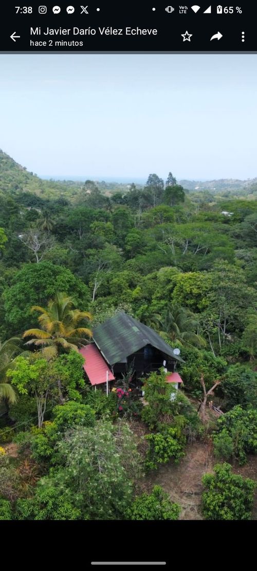Finca en  Venta en Los zainos, Santa marta - Miniatura 2