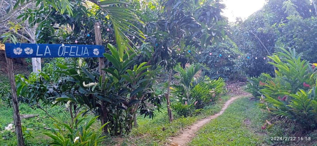 Finca en  Venta en Los zainos, Santa marta - Imagen 1