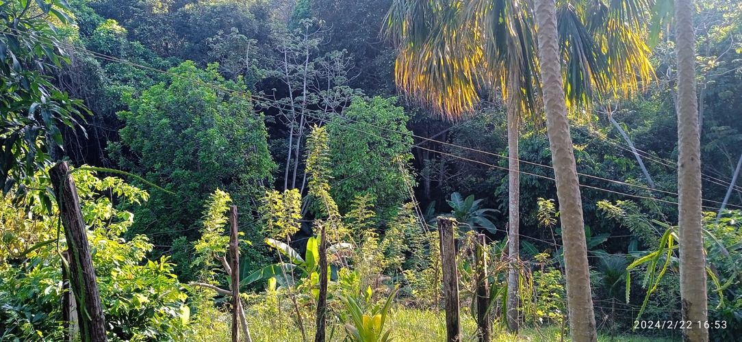 Finca en  Venta en Los zainos, Santa marta - Miniatura 4