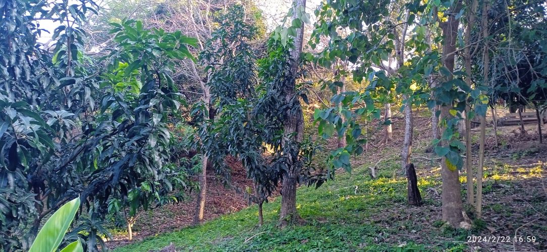Finca en  Venta en Los zainos, Santa marta - Miniatura 5