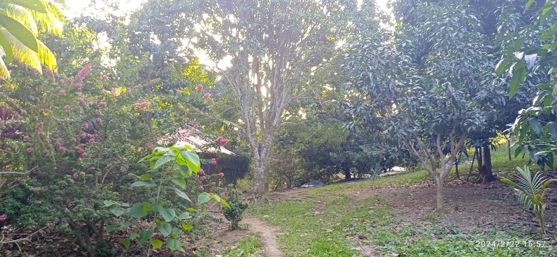 Finca en  Venta en Los zainos, Santa marta - Miniatura 6