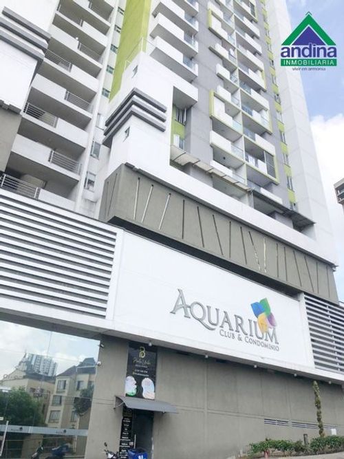 Apartamento en  Arriendo en San alonso, Bucaramanga - Imagen 1