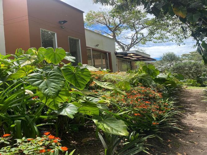 Finca en  Arriendo en El tambo, Abejorral - Miniatura 12