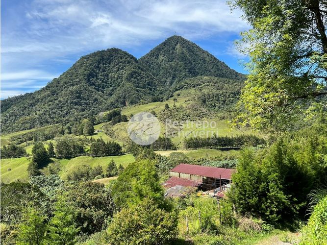 Finca en  Venta en Manzanares - Miniatura 23