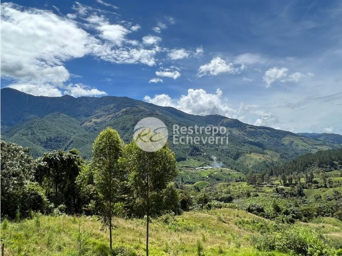 Finca en  Venta en Manzanares - Miniatura 27