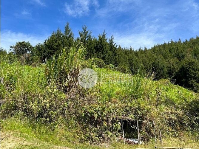 Finca en  Venta en Manzanares - Miniatura 28