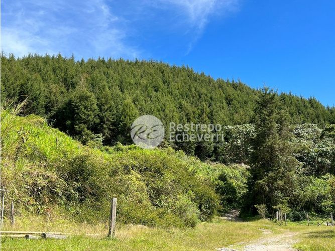 Finca en  Venta en Manzanares - Miniatura 29