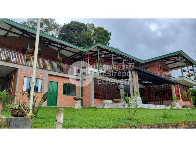 Finca en  Venta en San peregrino, Manizales - Miniatura 4