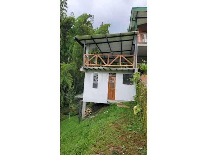 Finca en  Venta en San peregrino, Manizales - Miniatura 10