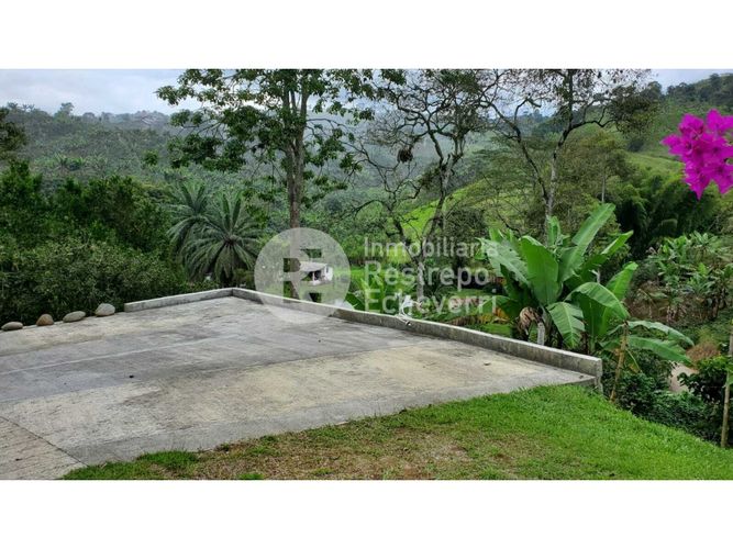 Finca en  Venta en San peregrino, Manizales - Miniatura 11