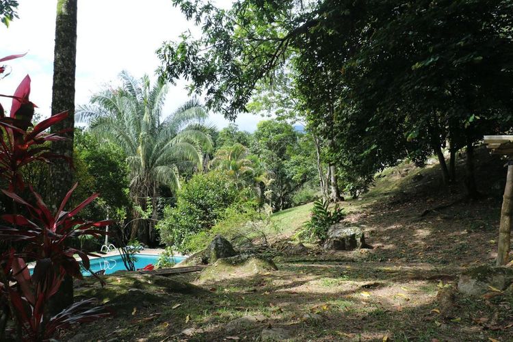 Finca en  Venta en Guayabal, La mesa - Miniatura 2
