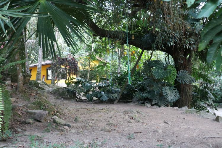 Finca en  Venta en Guayabal, La mesa - Miniatura 10