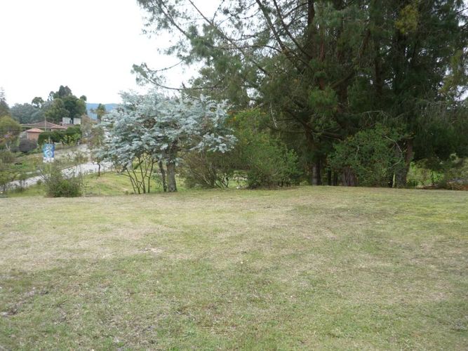 Finca en venta en La china, San pedro - Imagen 1