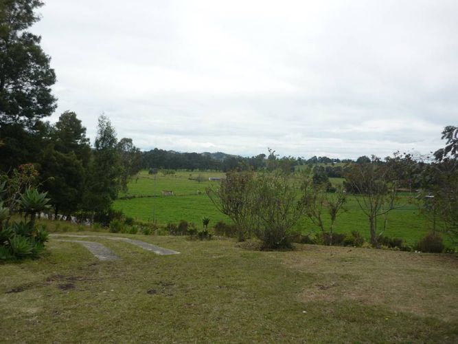 Finca en venta en La china, San pedro - Miniatura 2